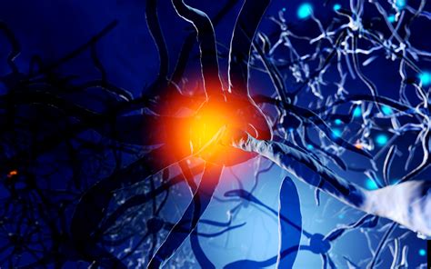 Neuroimmunology Set For Growth In 2019