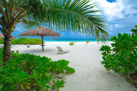 Premium Photo | Tropical beach in maldives