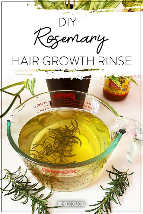 How to Make Rosemary Water for Hair Growth - ♡ July Blossom ...