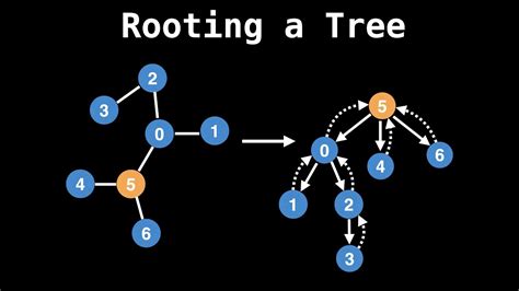 Tree In Graph Theory