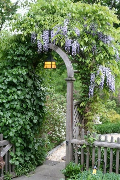 57 best iron trellis/ wisteria images on Pinterest | Landscaping, Beautiful gardens and Decks