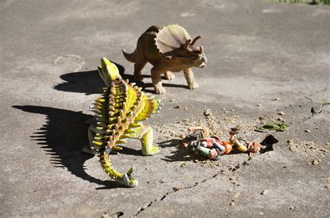 Bakgrundsbilder : mat, gul, leksak, fara, monster, ge sig på, fantasi, dinosaurie, dino ...