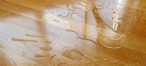 How to Waterproof a Wood Floor | DoItYourself.com