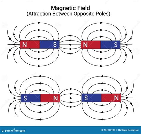 Attraction Between Opposite Poles Of Magnet Vector Illustration | CartoonDealer.com #234933924