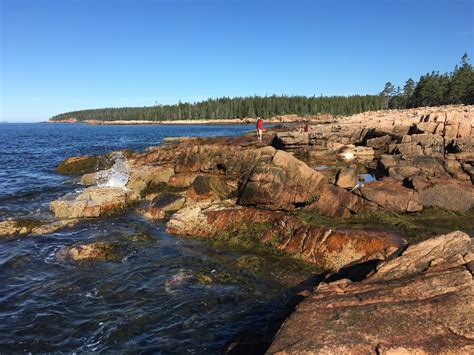 Bar Harbor Hiking Trails - The crown jewel of Maine & Acadia