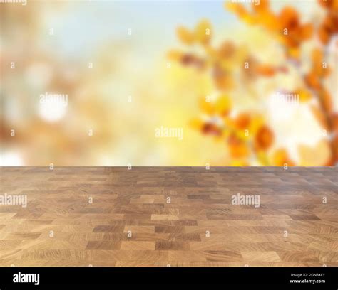 window to fall garden Stock Photo - Alamy