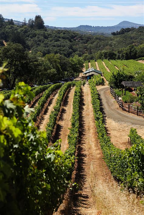 In California’s Wine Country, tasting rooms are essential - San ...