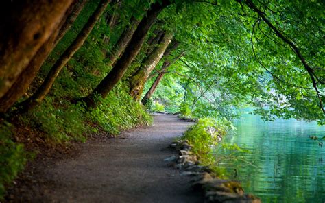 Plitvice Lakes National Park | Croatia All Travel Info | Travel And Tourism