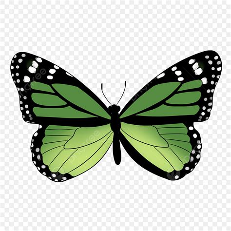 Butterfly Spring Clipart Transparent Background, Spring Nature Green ...