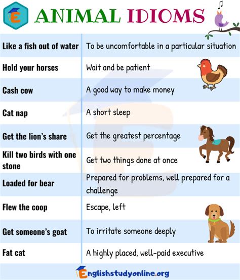 10 Useful Animal Idioms in English with their Meaning - English Study Online