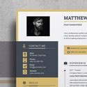 20+ Professional Resume Templates with Cover Letter - iDevie