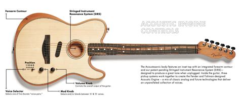 [DIAGRAM] Fender Stratocaster Wiring Diagram Ecaster Tele Voiced ...