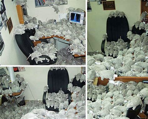 5 Great Office Pranks For Halloween