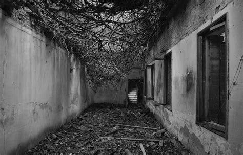 Poveglia island, the haunted place near the lagoon of Venice