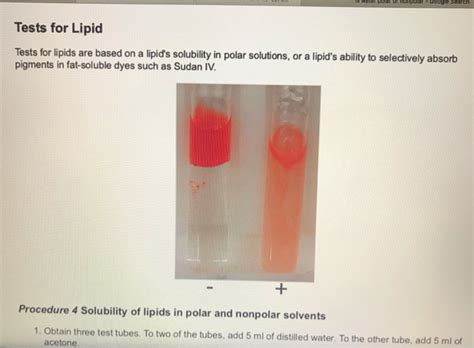 Solved Is water polar or honpoiar- Google Search Tests for | Chegg.com