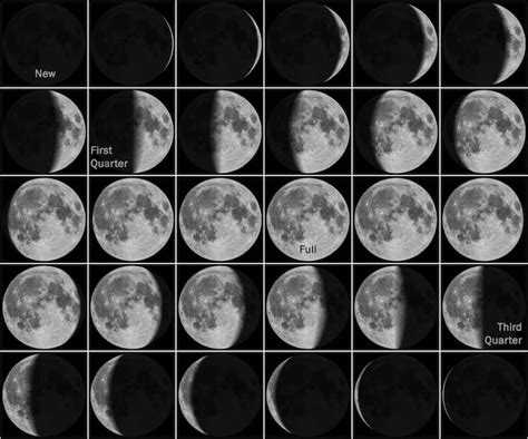 First And Third Quarter Moon Phases - pic-probe