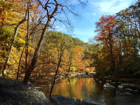 Fall Foliage in Northern Virginia: Best Fall Colors Near DC