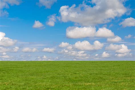 Grass And Sky Background Free Stock Photo - Public Domain Pictures