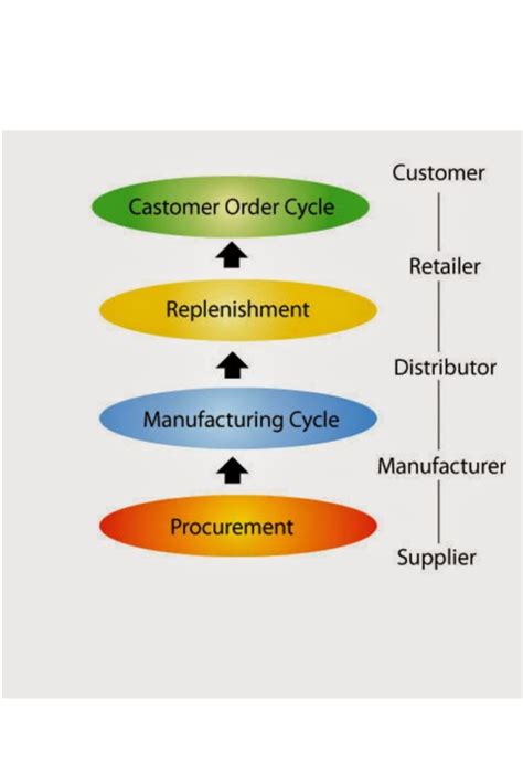 A discussion about the Cycle View of a Supply Chain