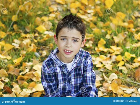 Smiling Child in Autumn Leaves Stock Image - Image of fall, light: 34838211