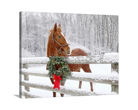 Christmas Horse Print Horse in Snow Print Christmas Horse | Etsy