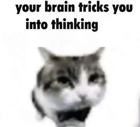 Your brain tricks you into thinking - iFunny