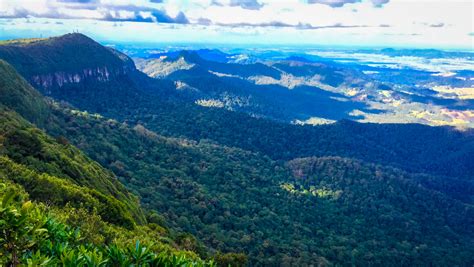 Exploring Gold Coast Hinterland - 2023