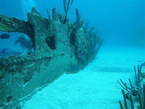 Admire the graveyard of the shipwreck in the Bermuda triangle