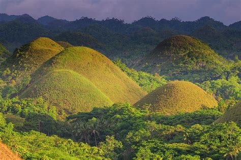 Chocolate Hills, Bohol, Philippines Photograph by Michael Runkel - Pixels