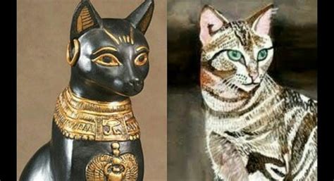Il gatto nell’antico Egitto – VitAntica