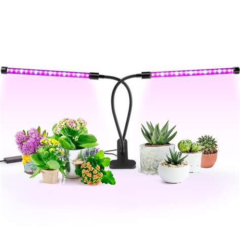 What Are The Best Indoor Grow Lights | Ralnosulwe