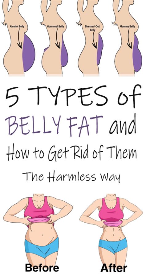 All of the Different Known Types of Belly Fat in one Place Types Of Belly Fat, Lower Belly Fat ...