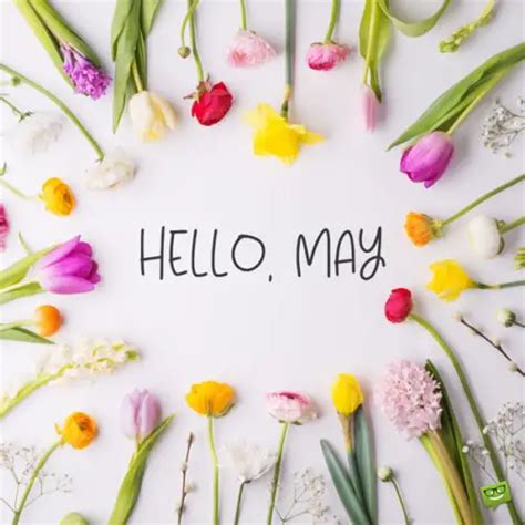 Hello, May | Quotes About Spring in Bloom