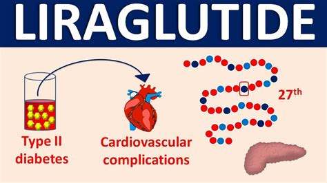 Liraglutide Weight Loss Mechanism | Blog Dandk