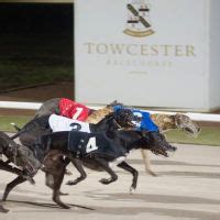 Towcester Racecourse events.