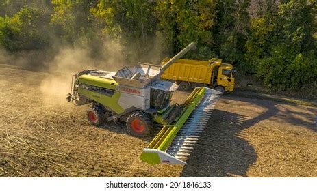 3,679 Sunflower Harvest Photos Stock Photos, Images & Photography ...