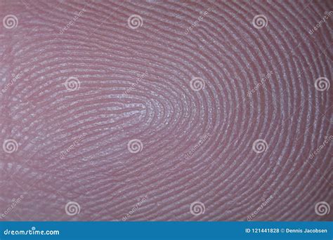 Closeup Image of Friction Ridges Stock Photo - Image of pattern, friction: 121441828