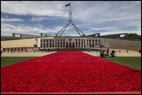 Knitted Poppy path to Australian Parliament House-1= | Flickr