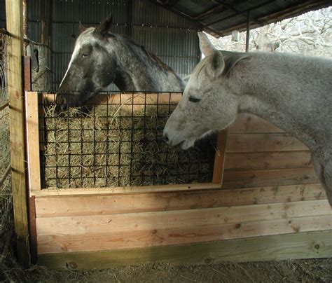 diy horse stall hay feeder - Salina Worley