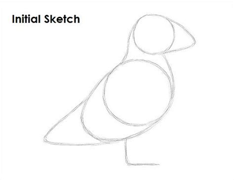 Puffin Bird Drawing Sketch Bird Drawings, Pencil Art Drawings, Doodle Drawings, Animal Drawings ...