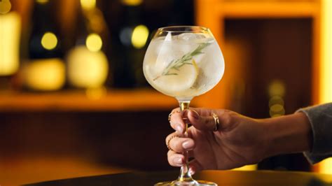 13 Best Gins for a Gin and Tonic - MyBartender