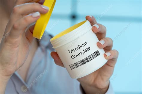 Disodium guanylate food additive, conceptual image - Stock Image - F042/3921 - Science Photo Library