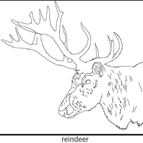 reindeer coloring page (line art) by TheMaestro55 on DeviantArt