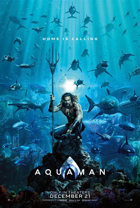 Aquaman (2018) Poster - Home Is Calling - Aquaman (2018) Photo (41464282) - Fanpop