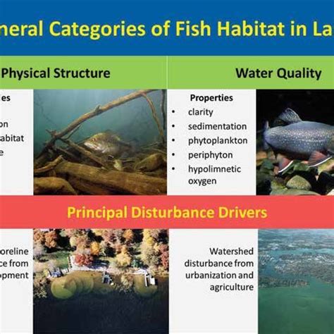 (PDF) A Fish Habitat Conservation Framework for Minnesota Lakes