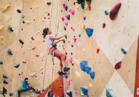 5+ Awesome Benefits of Having an Indoor Climbing Wall for Your Kids ...