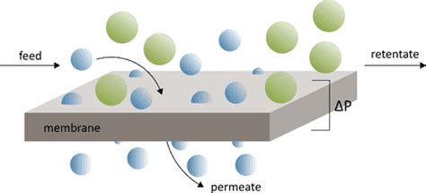 Introduction to membrane science from the Open Membrane Database · OMD