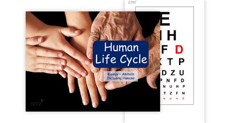 Human Life Cycle Science Quiz Quizizz - vrogue.co