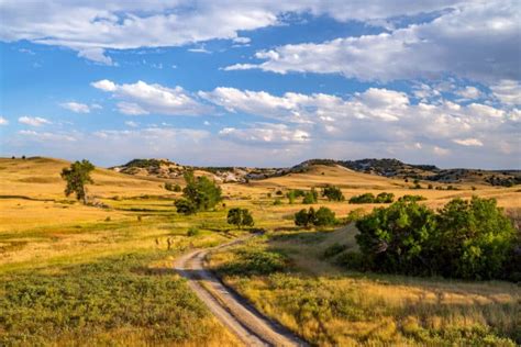 10 EPIC Things to Do in Buffalo Gap National Grassland