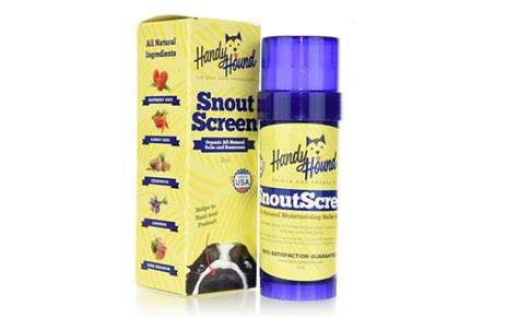 The Best Sunscreen for Dogs in 2022 | My Pet Needs That